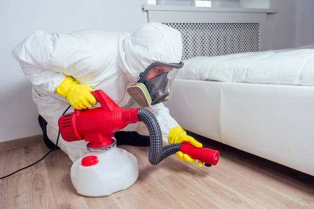 Best Bed Bug Extermination  in Willard, OH